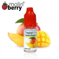 10ml Mango aromāts Molinberry