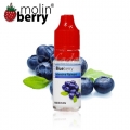 10ml Melleņu aromāts Molinberry